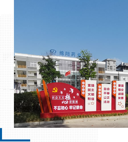 公司簡介